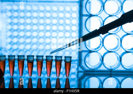 PCR-Streifen Reagenzgläsern und Mikropipette in Genetik Labor Stockfoto