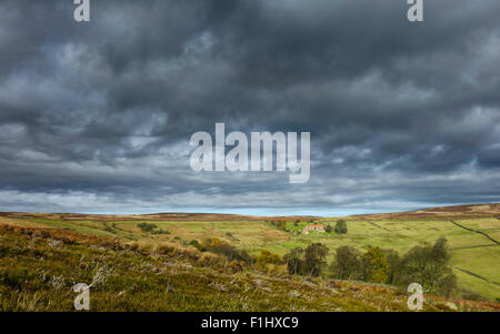 North York Moors unter Gewitterhimmel mit Sonnenlicht an einem Herbsttag in der Nähe von Glaisdale, Yorkshire, Großbritannien zu durchbrechen. Stockfoto