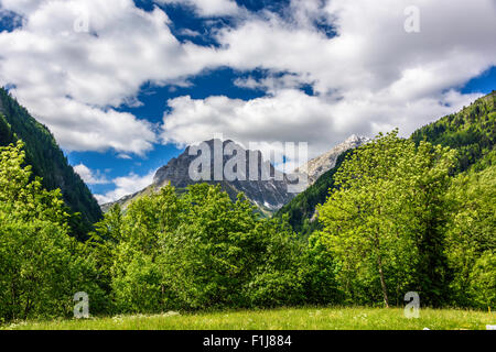 Aussicht von der Plockenpass zwischen Mortschach, Österreich und der italienischen Grenze Stockfoto