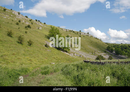 Lathkill Dale im Peak District in Derbyshire England, englischer Nationalpark, britische Landschaft Stockfoto