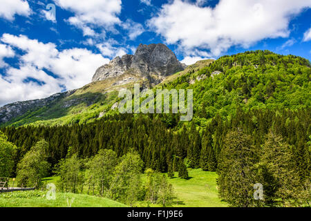 Aussicht von der Plockenpass zwischen Mortschach, Österreich und der italienischen Grenze Stockfoto