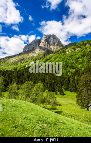 Aussicht von der Plockenpass zwischen Mortschach, Österreich und der italienischen Grenze Stockfoto