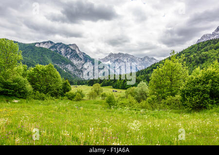 Aussicht von der Plockenpass zwischen Mortschach, Österreich und der italienischen Grenze Stockfoto