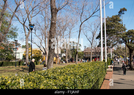 Shannon Reserve innerstädtischen Park am Crown Street in Surry Hills, Sydney, Australien Stockfoto