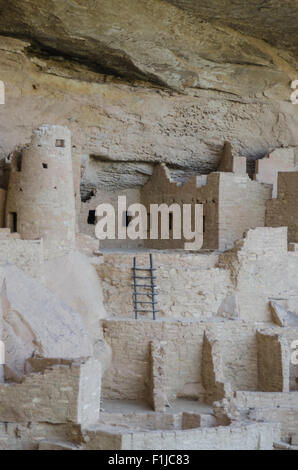 Nahaufnahme von Cliff Palace im Mesa Verde National Park Wohnung Stockfoto