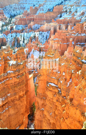 Morgenlicht auf Silent City Hoodoos von Rim Trail in der Nähe von Sunset Point gesehen im Bryce Canyon National Park in Utah übersehen Stockfoto