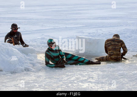 Weißes Meer, Arktis, Russland. 15. Oktober 2014. Freitauchen unter Eis in der Arktis, Russland, Russische Norden, Norden, Karelien, weißen Meer © Andrey Nekrassow/ZUMA Wire/ZUMAPRESS.com/Alamy Live-Nachrichten Stockfoto