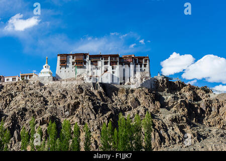 Stakna Gompa auf einem Hügel über dem Indus-Tal, umgeben von grünen Bäumen, Stakna, Jammu und Kaschmir, Indien Stockfoto