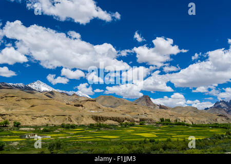 Karge Landschaft, grüne Wiesen, blauer Himmel und Wolken unter Fotu La weitergeben, 4.108 m, Srinagar-Leh-Highway, Gästehaus Stockfoto