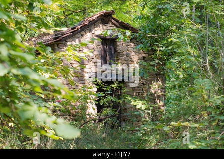 alte verlassene Hütte im Wald, umgeben von vegetation Stockfoto