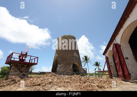 Zuckerrohr-Schale an der alten Mühle in St. Nicholas Abbey Barbados verworfen Stockfoto