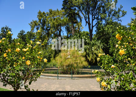 Thorne Brunnen im Public Garden, Kapstadt, Westkap, Südafrika Stockfoto