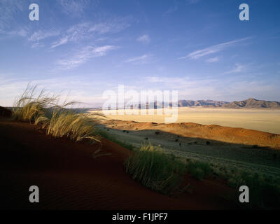 Grass Büschel Sand Dune Naukluft Park, Namibia, Afrika Stockfoto