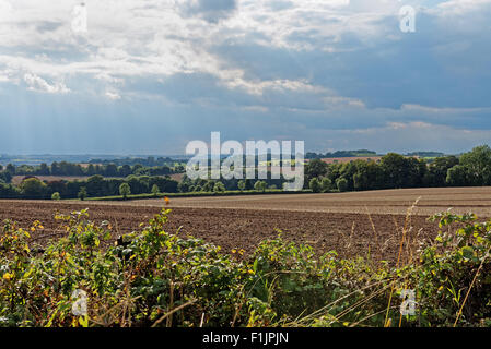 Ein Blick über die sanften Kreide Hochland der Lincolnshire Wolds, UK Stockfoto