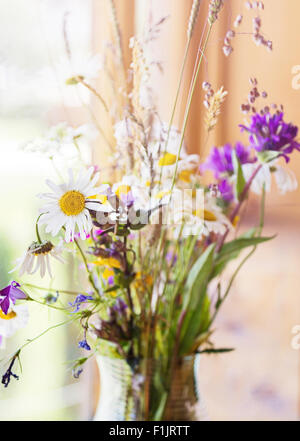 Sommer-Bouquet von Wiesenblumen in einem Fenster Stockfoto