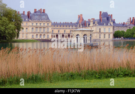 Park und königliche Residenz in Fontainebleau, Frankreich Stockfoto