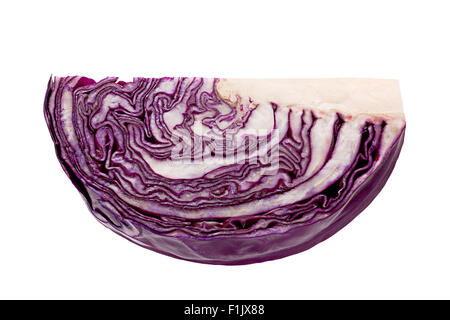 Lilakraut Teil isoliert auf weißem Hintergrund Stockfoto