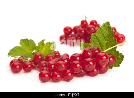 Rote Johannisbeere mit Blatt isoliert auf weiss Stockfoto