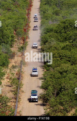 Luftaufnahme von Safari-Fahrzeugen auf Dirt Road Krüger Nationalpark Mpumalanga, Südafrika Stockfoto