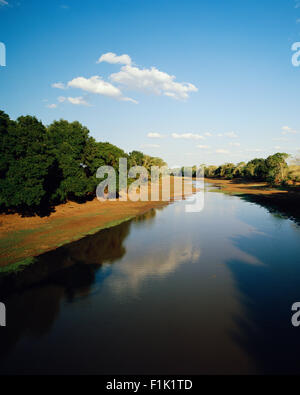Fluss-Krüger-Nationalpark Northern Province, Südafrika Stockfoto