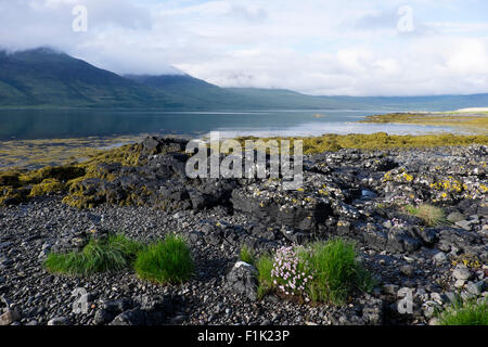 Loch Na Keal Isle of Mull, Schottland, UK LA007544 Stockfoto