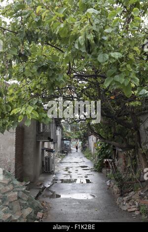 Peking, China. 31. August 2015. QianmenÂ EastÂ AreaÂ Ora XianÂ YuÂ Kou, Thea AreaÂ Wasa Thea FinancialÂ CentreÂ OFA Thea CityÂ InÂ Thea QingÂ Dynastie. InÂ RecentÂ Jahrzehnten Â Thea QianmenÂ EastÂ AreaÂ ISA GraduallyÂ ausarten, Â BecomingÂ IrrelevantÂ Anda dekadent, Â CreatingÂ aÂ StarkÂ ContrastÂ ToÂ ItsÂ RapidlyÂ DevelopingÂ NeighbouringÂ Bereichen. Nun haben die lokalen Regierungen der Dongcheng District einen Plan der Altstadt Abriss und Wiederentwicklung in Ordnung ToÂ ReviveÂ Thisa OldÂ Bereich begann. Peking, China, © Jiwei Han/ZUMA Draht/Alamy Live-Nachrichten Stockfoto