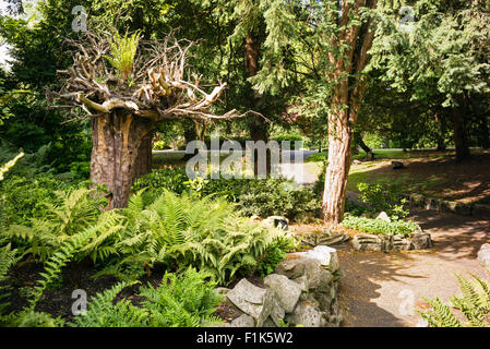 Humor im Park, Museum Gärten, Stadt von York, Yorkshire, England, Vereinigtes Königreich Stockfoto