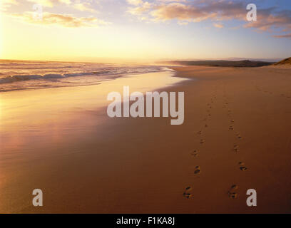 Spuren am Strand bei Sonnenuntergang Sedgefield, Western Cape, Südafrika Stockfoto