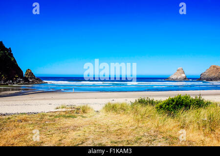 Des Teufels Ellenbogen State Park mit Blick auf die Pazifikküste von Oregon befindet sich in einer Bucht an der Mündung des Cape Creek. Stockfoto