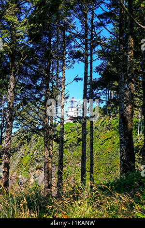 Heceta Hitze Leuchtturm an der Küste Oregons 13 Meilen nördlich von Florenz oder Stockfoto