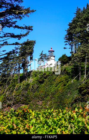 Heceta Hitze Leuchtturm an der Küste Oregons 13 Meilen nördlich von Florenz oder Stockfoto