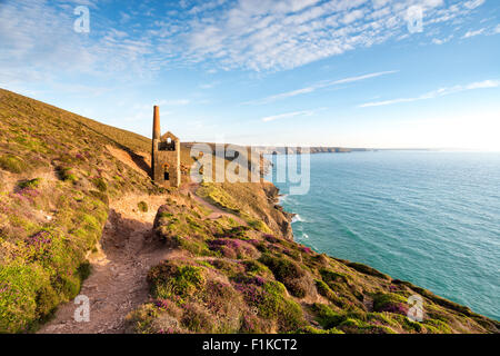 Das Pumpenhaus Towanroath Ruinen auf dem South West Coast Path in St. Agnes in Cornwall Stockfoto