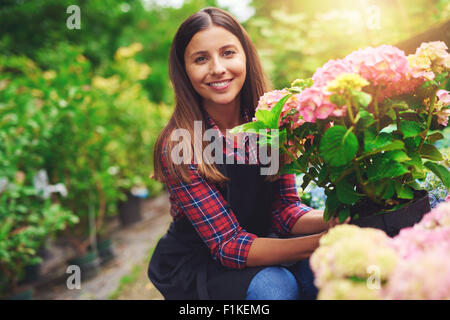 Lächelnde glücklich Frau zeigt eine Rosa Hortensie Pflanze, die sie unter den Pflanzen auf dem Display in einer Gärtnerei als s ausgewählt hat Stockfoto