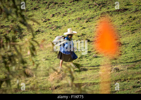 Peruanische Frau in traditioneller Kleidung und Hut zu Fuß nach Hause in Gran Porcon Hügeln in der Nähe von Cajamarca, Peru Stockfoto