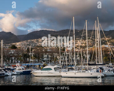 Die Marina, Funchal, Madeira, Portugal Stockfoto