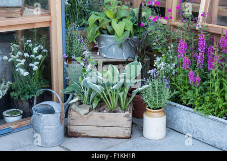 RHS Hampton Court Flower Show 2015 Stockfoto