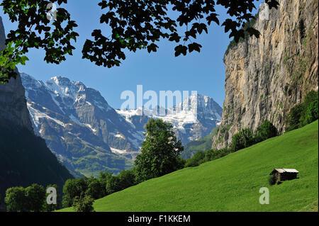 Almwiese mit Scheune / Raccard im Lauterbrunnental, Berner Oberland, Schweizer Alpen, Schweiz Stockfoto