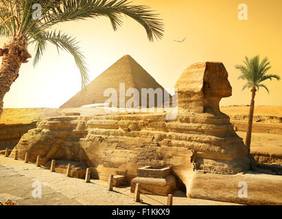 Palmen in der Nähe von Sphinx und Pyramide in der ägyptischen Wüste Stockfoto