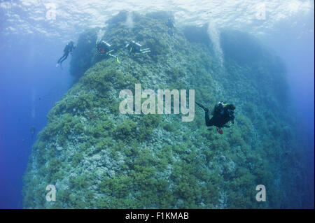 Taucher, die ein tropisches Korallenriff Unterwasser Steilwand erkunden Stockfoto