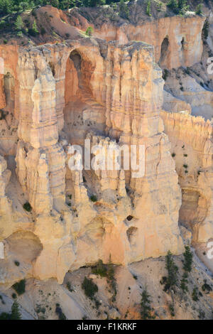 Blick auf den Windows-Abschnitt von Bryce Point im Bryce-Canyon-Nationalpark im Südwesten Utah Stockfoto