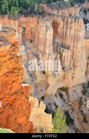 Blick auf den Windows-Abschnitt von Bryce Point im Bryce-Canyon-Nationalpark im Südwesten Utah Stockfoto