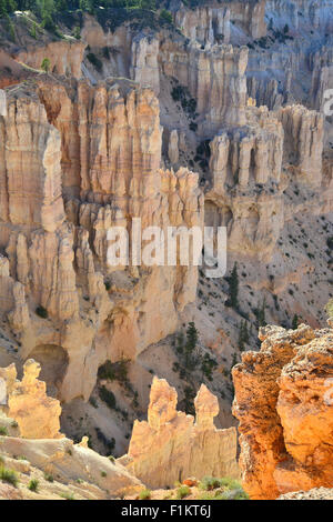 Blick auf den Windows-Abschnitt von Bryce Point im Bryce-Canyon-Nationalpark im Südwesten Utah Stockfoto