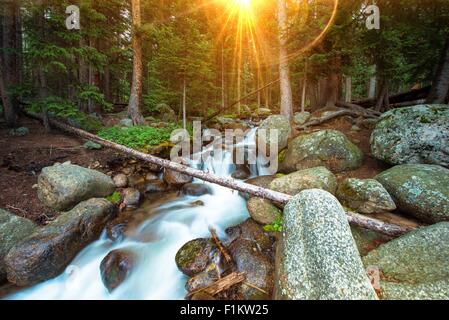 Wildnis-Wasserfälle mit Sonne leuchten zwischen Pinien. Kleine Colorado Gebirgsfluss. Stockfoto