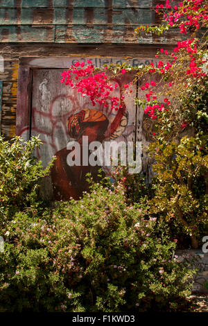 Lauen Alley ist eines der am meisten gingen Straßen in The Mission wegen seiner Sammlung von Wandmalereien. Bilder nur zu redaktionellen Zwecken. Stockfoto