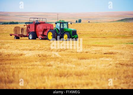 Sommer Ernte. Traktor mit Erntemaschinen auf dem Bauernhof-Feld. Colorado, Vereinigte Staaten. Stockfoto