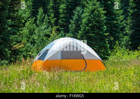 Zelt auf der grünen Wiese. Orange-blaue Zelt. Stockfoto