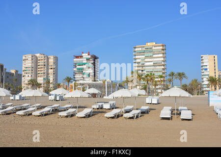 Sonnenliegen am Strand mit Apartments an der Playa San Juan, San Juan, Alicante, Spanien Stockfoto