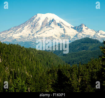 Landschaftlich reizvolle Nahaufnahme der Mount Rainier, umgeben von einem Wald von Bäumen. US-Bundesstaat Washington. USA Stockfoto