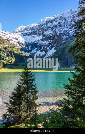 Ansichten rund um den Hintersee, in der Nähe von Zell am See, Österreich Stockfoto