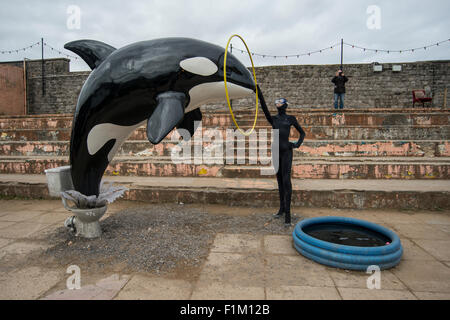 Ein Modell-Killer-Wal springt aus einer Toilette im Rahmen von Banksy Dismaland Verblüffung Park Pop-up-Ausstellung in Weston-Super-Mare. Stockfoto